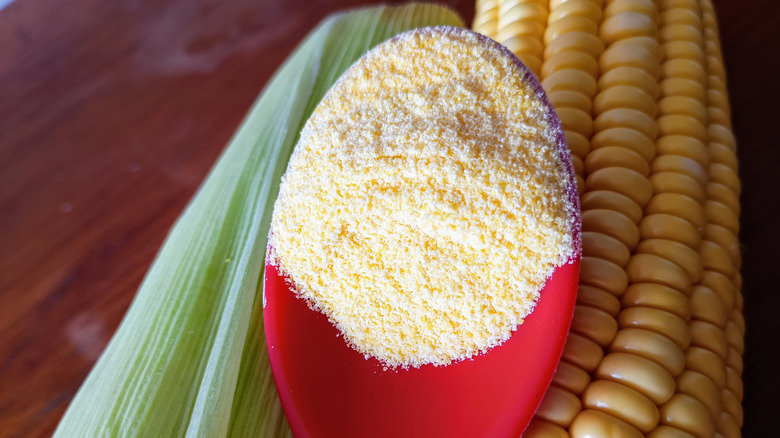 Red spoon filled with cornmeal in front of peeled corn and husk