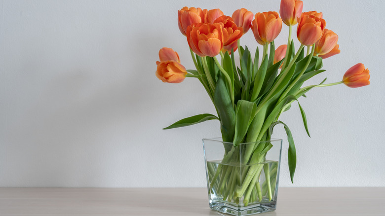 Square glass vase with orange flowers inside