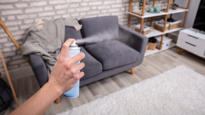Close-up Of A Person's Hand Spraying Air Freshener In Living Room