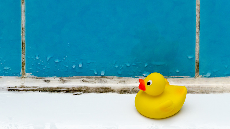 Rubber ducky in moldy shower 