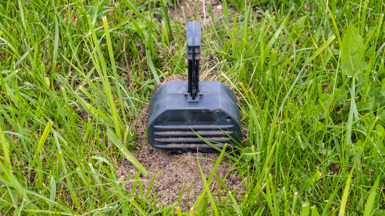 a vole trap sits in wait on a lawn