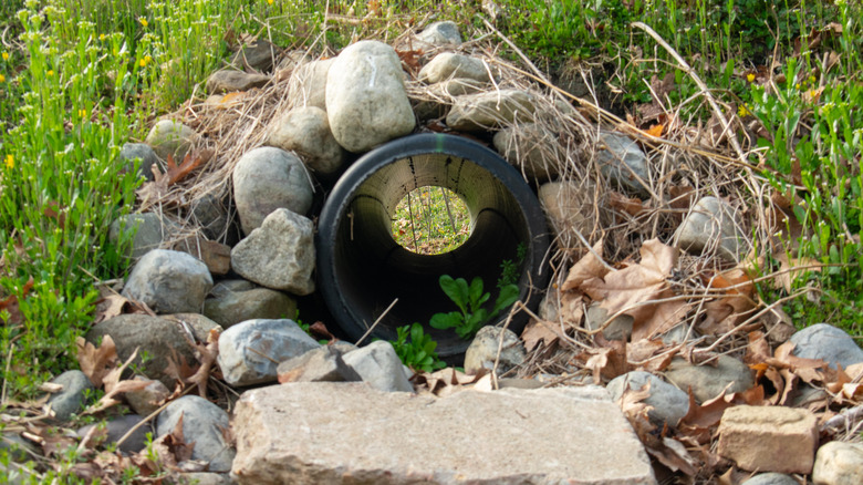 French drain in the backyard