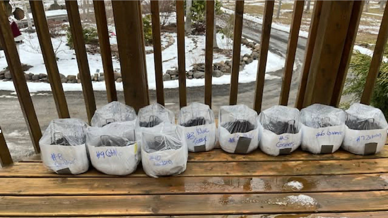 Containers for winter sowing are covered with shower caps.