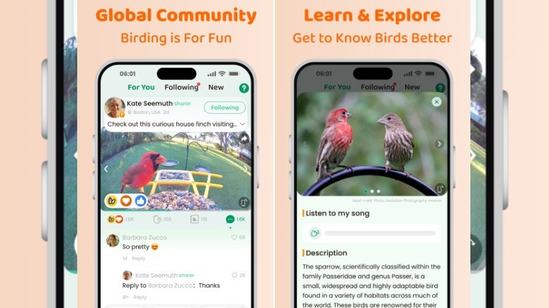 Screenshots of CoolFly App features