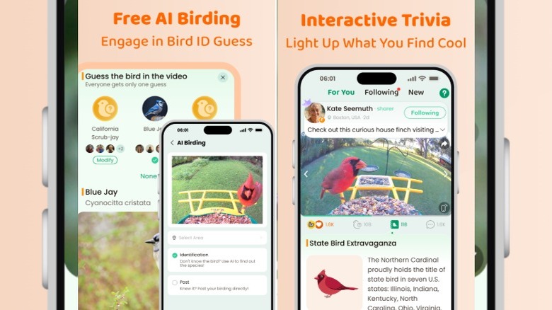 Screenshots of CoolFly App features