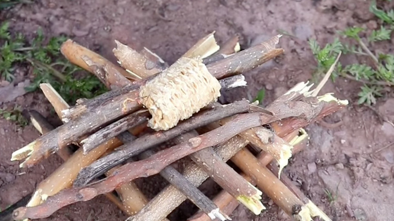 A piece of corn cob soaked in liquid fuel and added to a pile of sticks ready to be set on fire.