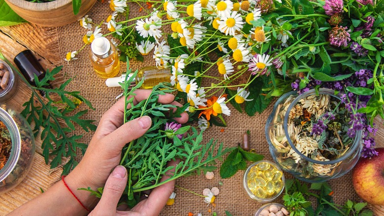 Person's hands holding leaves alongside other supplies for medicinal preparations