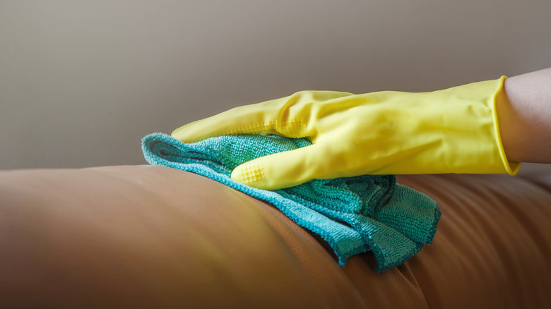 person wiping leather couch