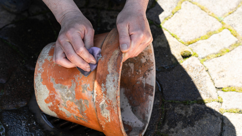 person cleaning dirty flower pot