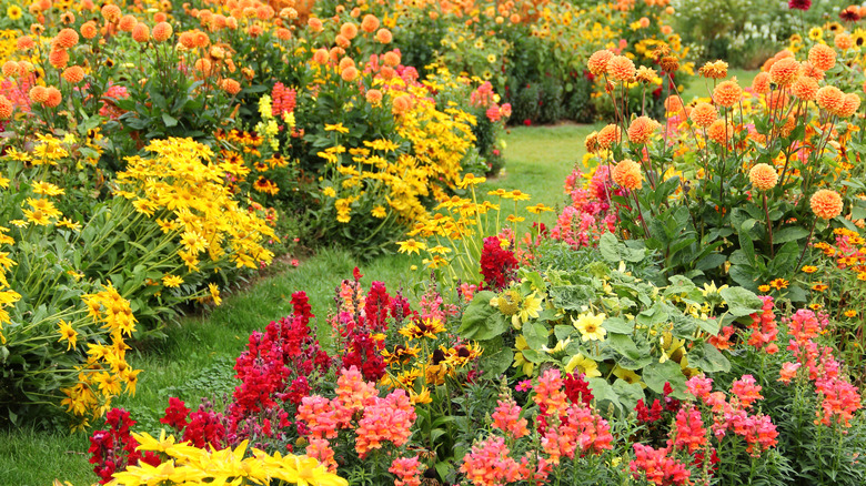Flowers in yellow, pink, orange, and red creating a border on both sides of a narrow grassy path.