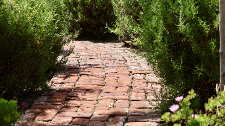 Brick walkway winding through greenery