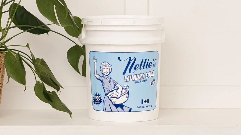 A bucket of Nellie's laundry soda on a shelf with a plant nearby