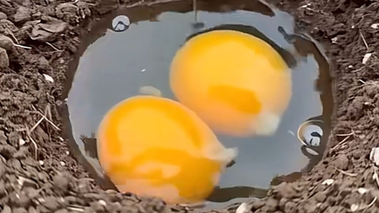 Two raw eggs in a hole in the soil