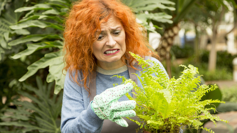Confused and worried looking woman wearing gardening gloves holding a plant.