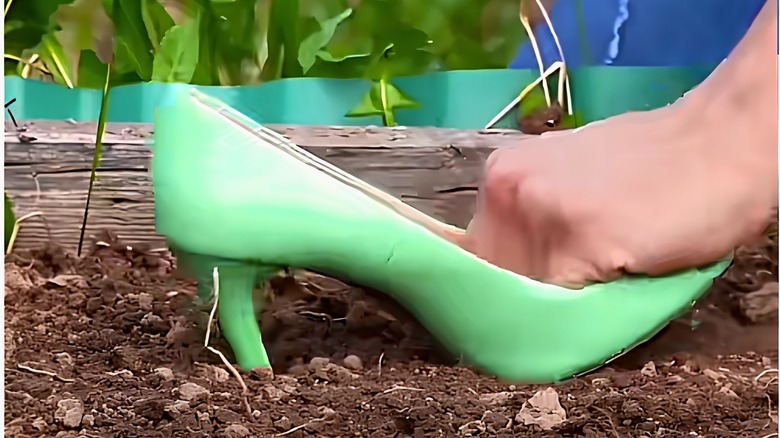 Woman using a stiletto heel to make holes for seeds