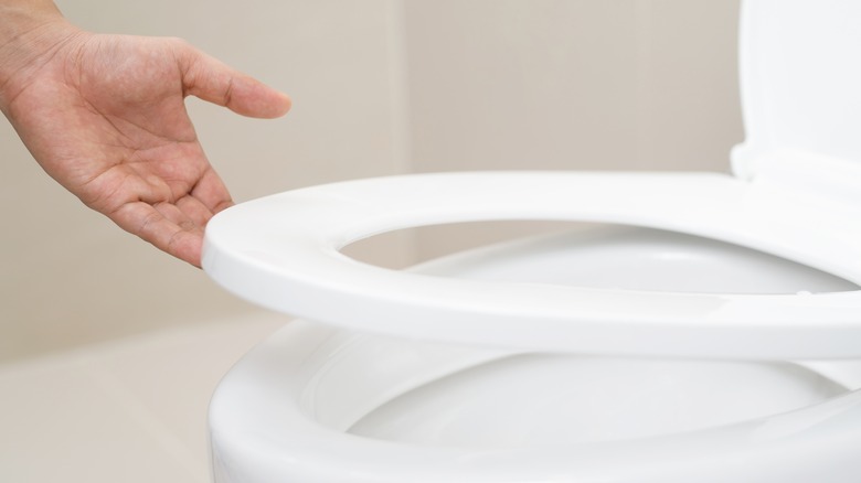 Hand opening toilet lid