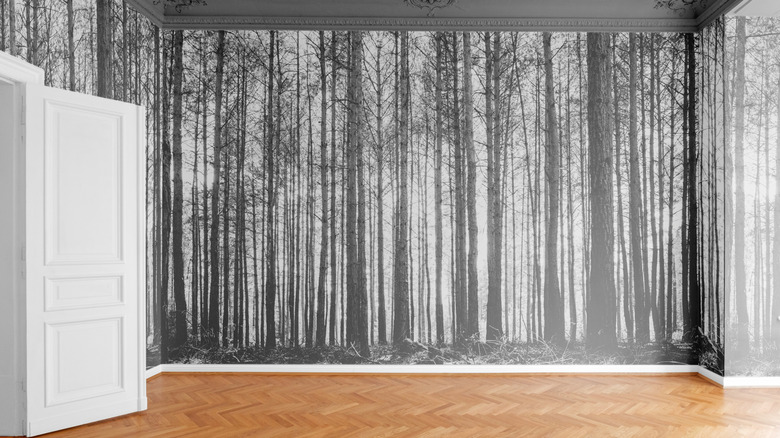 An empty room with a forest wallpaper on all the walls