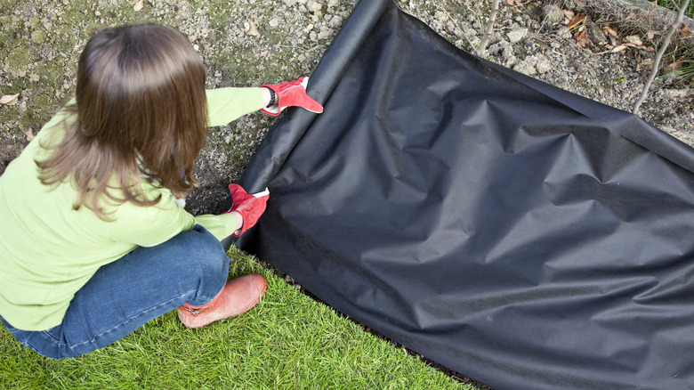 Woman putting down landscape fabric.