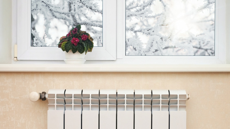 potted plant on windowsill with snow on tree branches outside