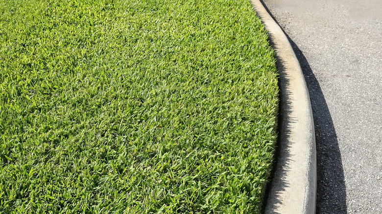 Cut grass near curb 