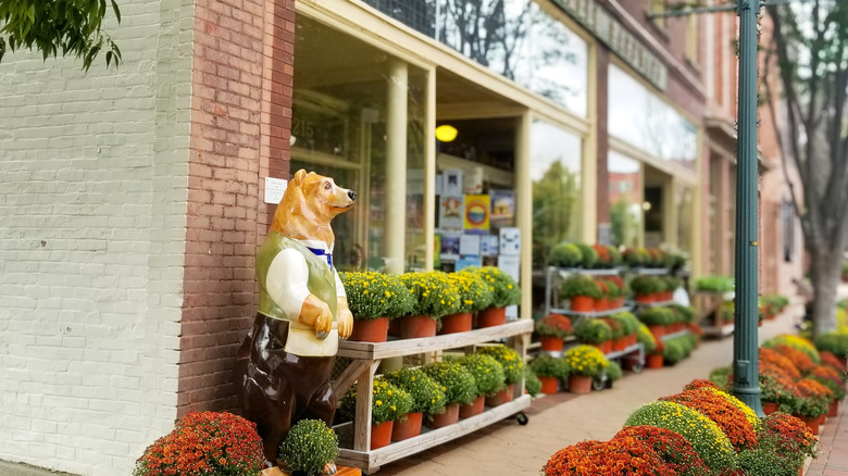 Mums for sale outside a storefront in New Bern, NC