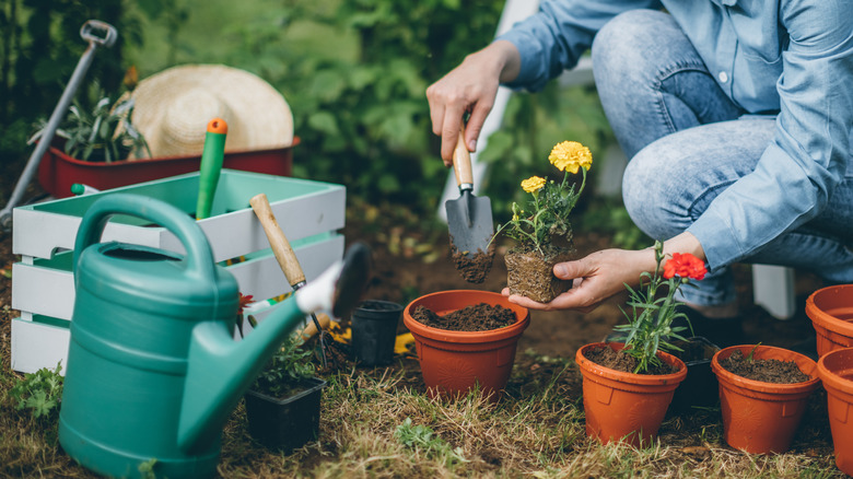 person gardening with various tools