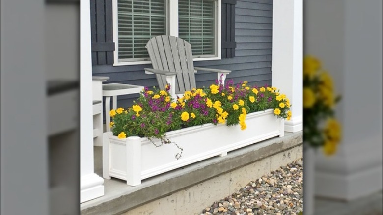 flower box