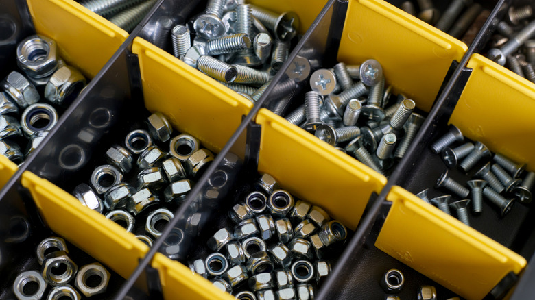 Nuts and bolts in a container with dividers