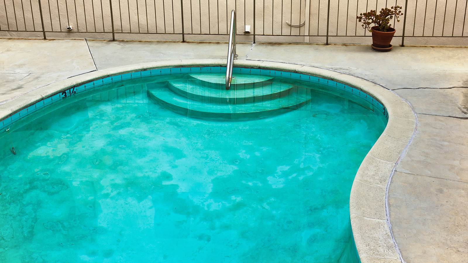 Beware Mustard Algae, The ChlorineResistant Menace That Ruins Your Pool