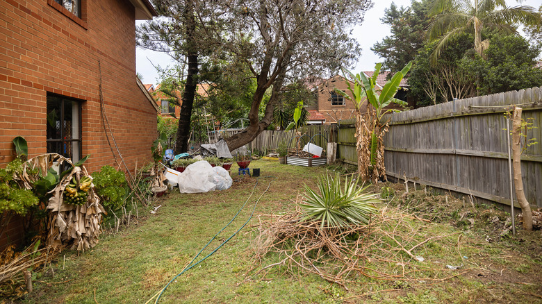 Backyard with overgrown grass, trimmed branches and yard waste piled on the ground, scattered debris, and a wooden fence alongside a brick house.