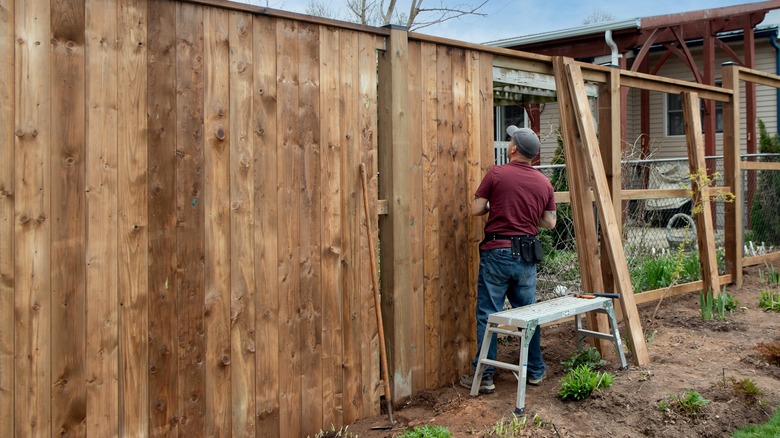 Man building a privacy fence