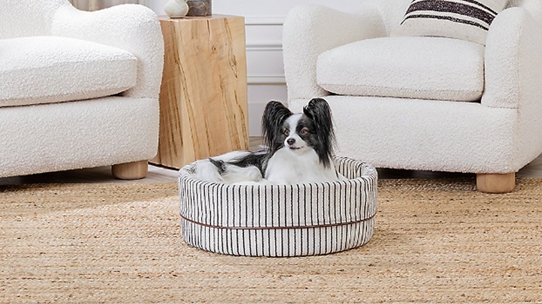 Nate & Jeremiah Donut pet bed