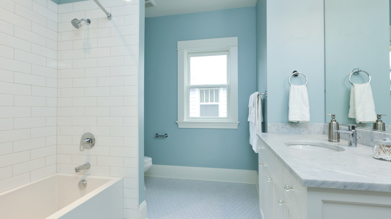Clean bathroom blue walls