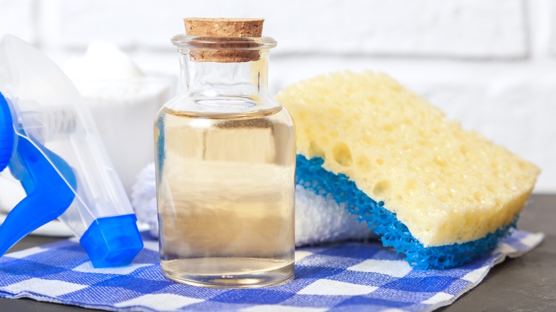bottle of vinegar and sponge