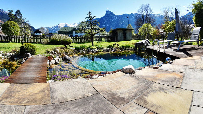 An outdoor natural pool