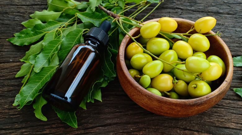 neem oil 