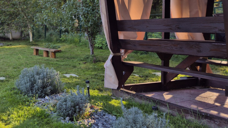 Lavender planted  in a garden bed near a covered patio as a tick deterrence measure.