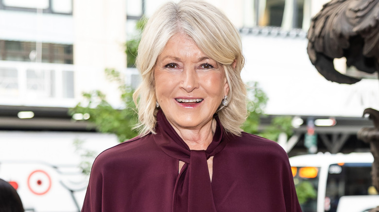 Close up of Martha Stewart