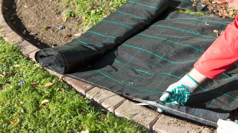 A gardener laying down landscape fabric over the weeds in a garden bed