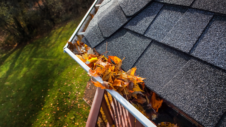 gutter with leaves in it