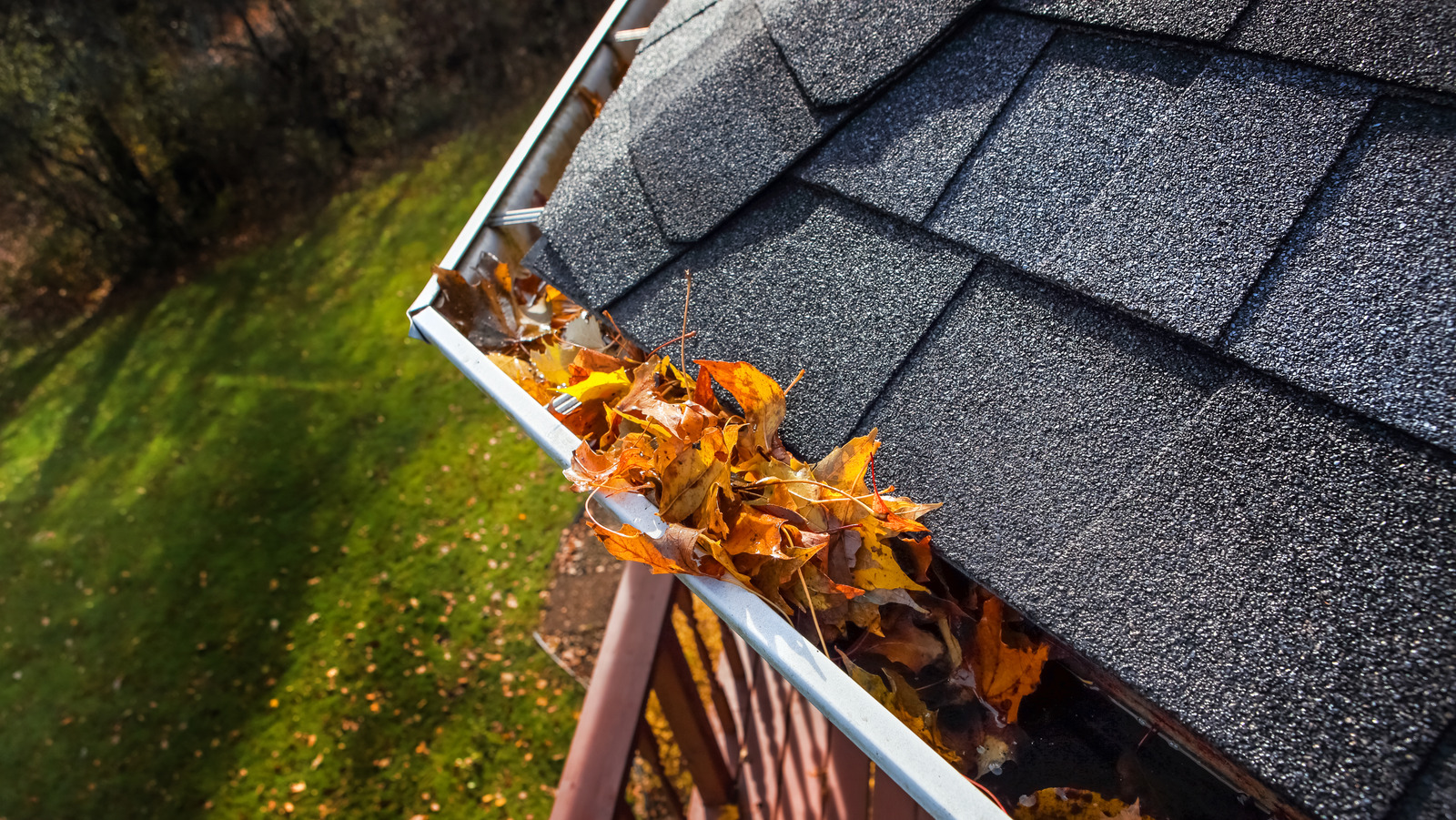 Neglecting To Clean Your Gutters Does More Harm Than You Think