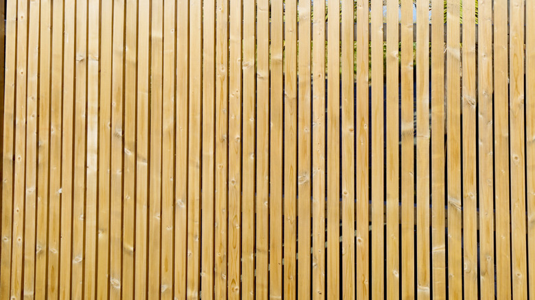 The top of a fence, beyond which palm trees can be seen