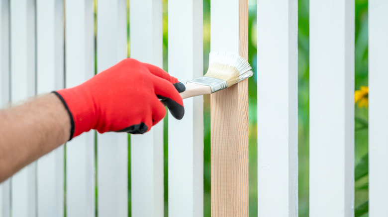 Painting the planks of new wooden fence in the front yard, close up