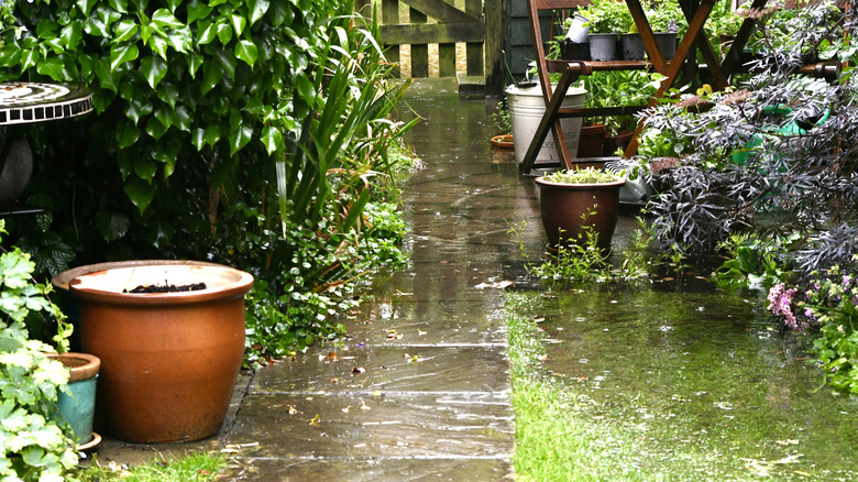 A flooded backyard with rain droplets
