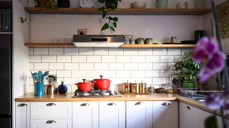 Bright, modern kitchen with flowers and plants