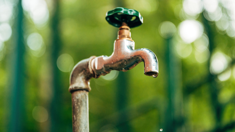 A close look at an outdoor faucet