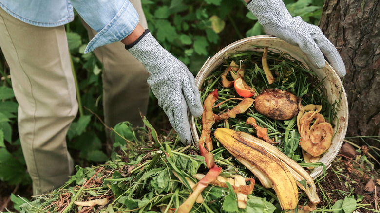 Person dumping food scraps into a compost pile