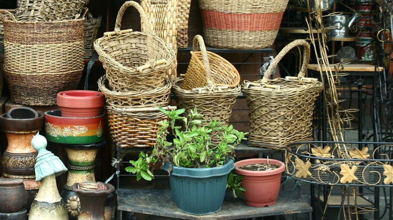 woven baskets and potted plants at a thrift store