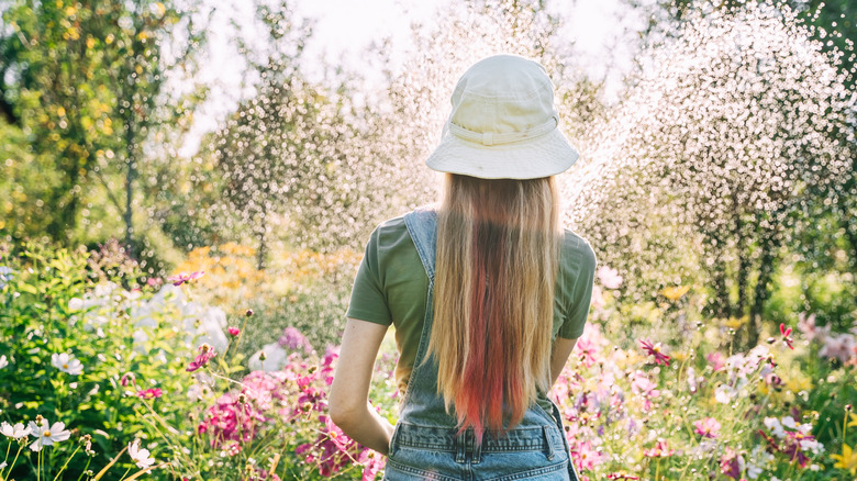 A woman wearing a hat uses a hose to water her flower garden.