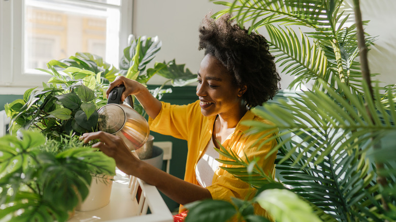Woman waters her indoor plants